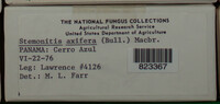 Image Associated With the Occurence